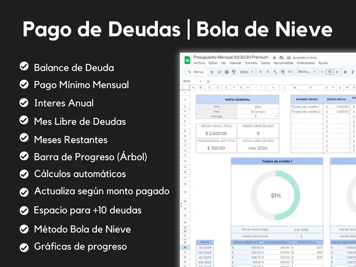 Sistema de pago de deudas con método bola de nieve